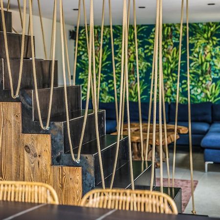 Casa Jungle ! Superb Duplex Apartment, Place Des Lices ! 쎙뜨호뻬 외부 사진
